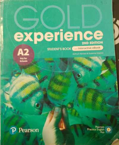 GOLD EXPERIENCE A2 - ST'S Book 2nd Ed
